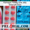 Kamagra 100Mg Oral Jelly Sildenafil 5Gm new14